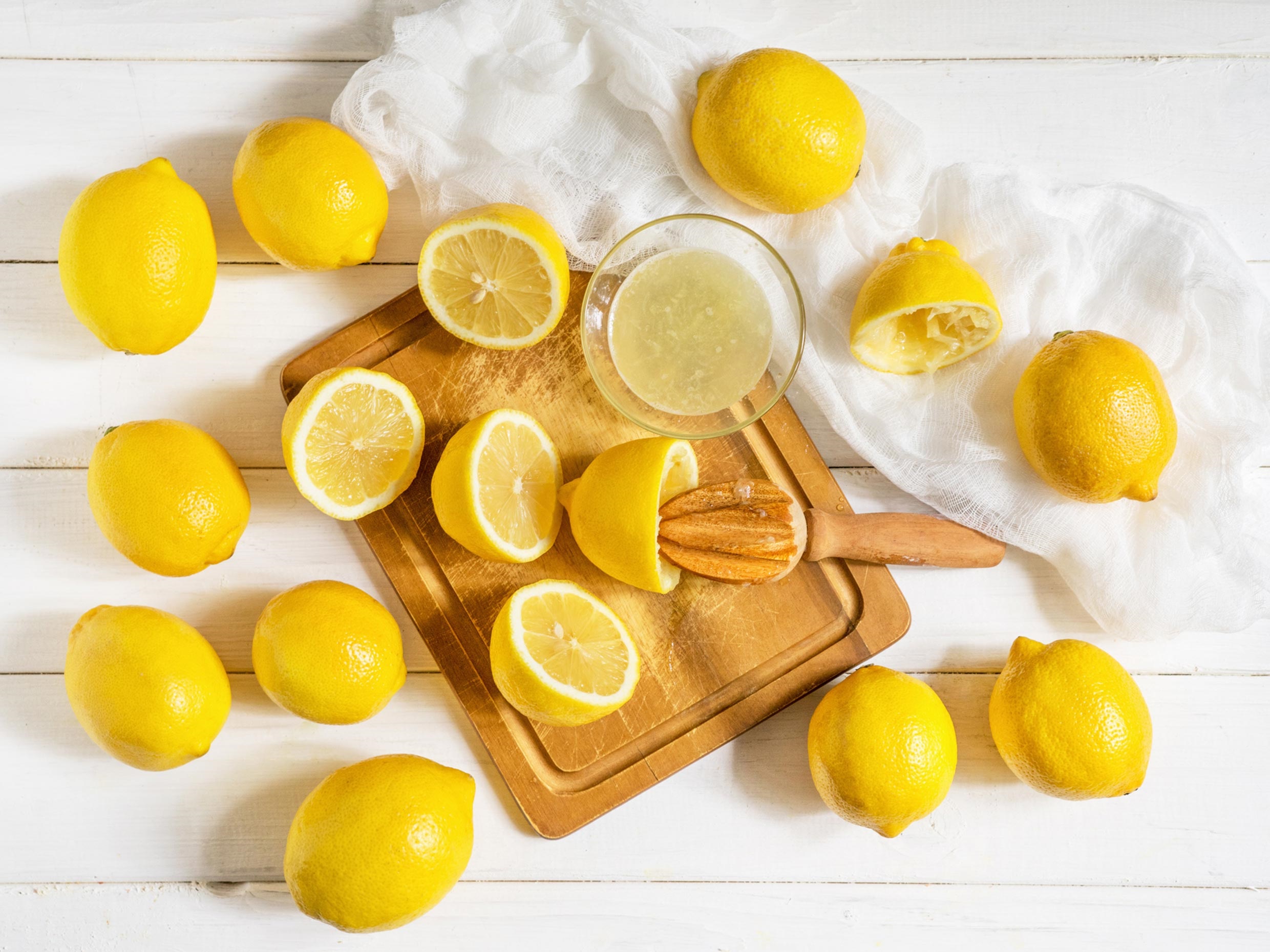 Lemonade Insurance There’s nothing sour about this